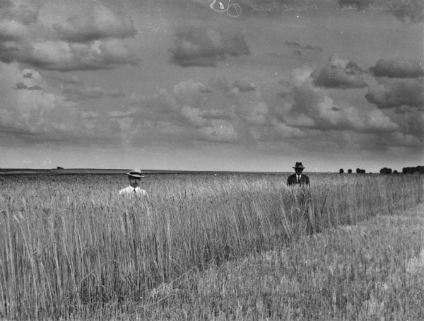 Two men pose in a wheat field.