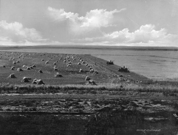 Elevated view of agricultural workers using two teams of horses to pull harvesting machinery in a wheat field in the vicinity of Twin Falls. Harvested wheat gathered into bundles is in the field.