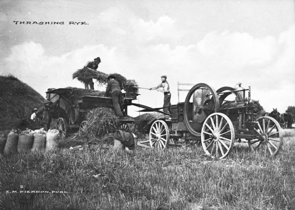 Several agricultural workers are shown thrashing rye. Three men are loaingd rye near a thrashing machine, which is operating. Several other men and a pair of horses are nearby. Caption reads: "Thrashing Rye."