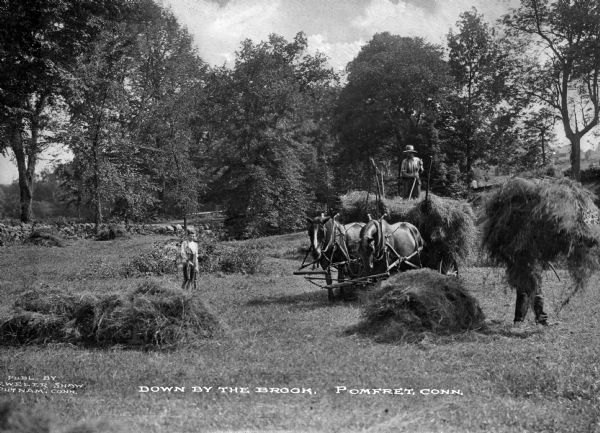 Two men and a boy are shown gathering hay. The hay is being loaded onto a wagon pulled by two horses. A brook and a road are in the background. Caption reads: "Down By The Brook. Pomfret, Conn."
