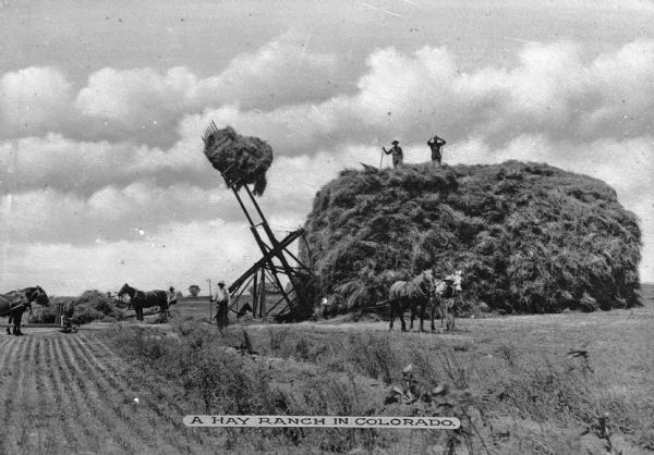 Several agricultural workers operating horse-driven machinery to stack hay. Two men stand on a large pile of hay. Caption reads: "A Hay Ranch In Colorado."