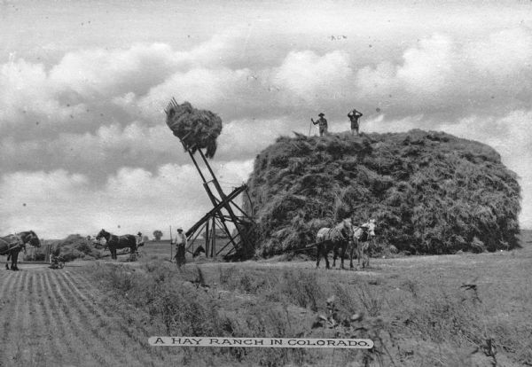 Several agricultural workers operating horse-driven machinery to stack hay. Two men stand on a large pile of hay. Caption reads: "A Hay Ranch In Colorado."