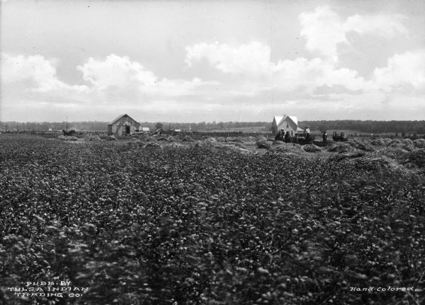 Several agricultural workers mowing and baling bottom land alfalfa in the vicinity of Tulsa. The operation utilizes horse-drawn farm equipment. A barn and a farmhouse are in the background.