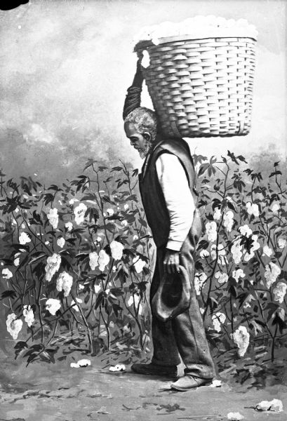 Studio portrait in front of a painted backdrop of an African American man carrying a bushel basket full of cotton, location unknown.