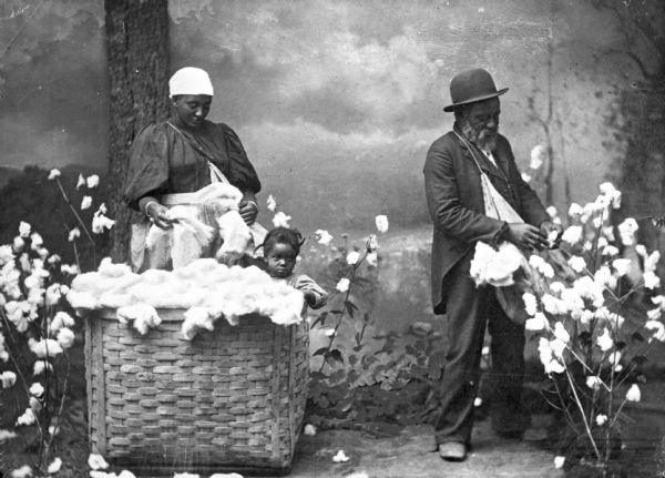 Posed studio portrait in front of a painted backdrop of two African American agricultural workers picking cotton, location unknown. A little girl sits in a full basket of cotton.