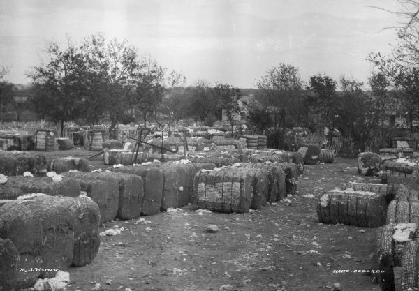 View of a cotton yard. Bundled cotton waits to be transported. A cotton weighing machine reads: "P.T. Talbot & Son." A house is in the background.