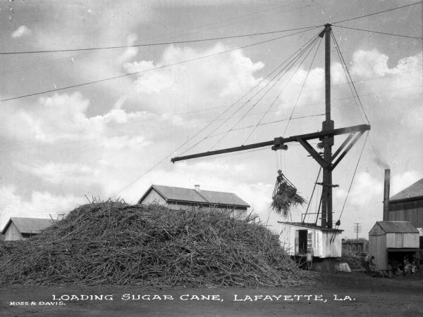 View of a crane being used to load sugar cane. Several men are visible nearby. Caption reads: "Loading Sugar Cane, Lafayette, LA."