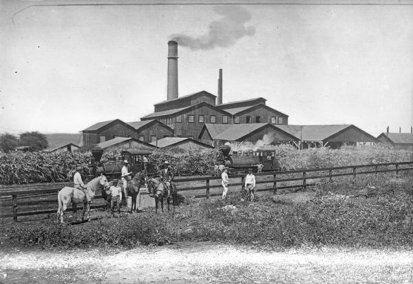 View of a sugar cane plantation. Several men are on horseback while others stand nearby. On the other side of a fence are two locomotives. Harvested sugar cane sits nearby. Several large farm buildings are in the background.