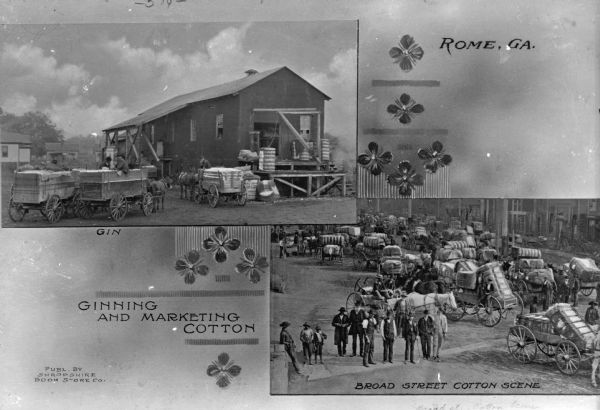 A composite of two images pertaining to cotton. The image on the top left is of a cotton gin and the lower right is an image of farmers with horse-drawn carts taking cotton to market, captioned "The Broad Street Cotton Scene." Caption at bottom left reads: "Ginning and Marketing Cotton."