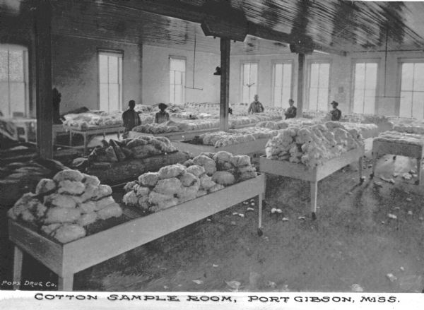 Women in a high ceilinged room used for sampling cotton. The numerous tables are piled with raw cotton. Caption reads: "Cotton Sample Room, Port Gibson, Miss."