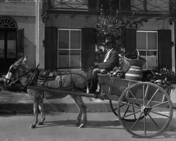 An elderly African American vegetable dealer in a donkey-driven cart parked in front of a row of windows.