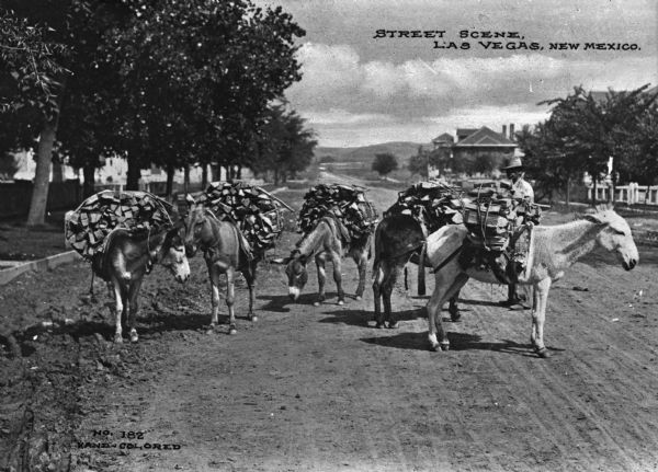A man in stands behind five donkeys, each laden with chopped wood in the middle of a dirt road. Caption reads: "Street Scene, Las Vegas, New Mexico."