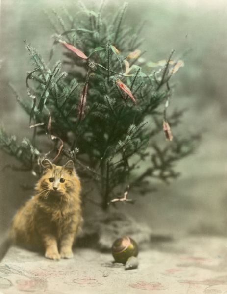 A hand-colored portrait of the Trimpey family cat, Mary, posed by a small Christmas tree.  The tree is decorated with ribbon garland and there is a toy mouse and ornament at the base of the tree.