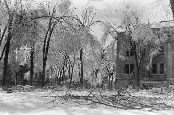Winter scenes of the Sauk County Courthouse, Baraboo, Wisconsin, with broken tree limbs littering the lawn; trees bow under the weight of ice. Commercial buildings lining the square are seen in the background.
