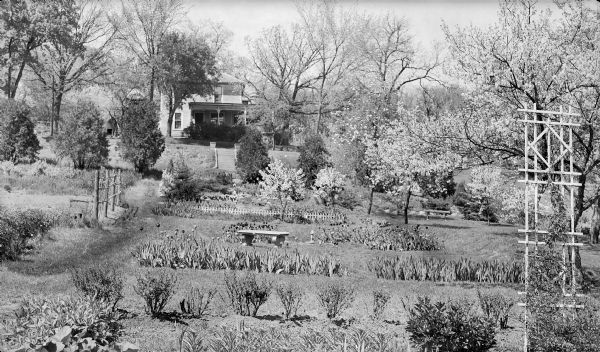 A spring view of a large garden with tulips and ornamental trees in bloom. There is a bench and trellis in the garden. A two-story frame house with a large porch is in the background.