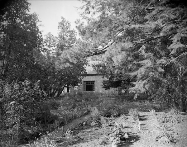 An exterior view of August Derleth's home, "Place of Hawks," seen from the garden and partially obscured by trees. The house was built in 1940.