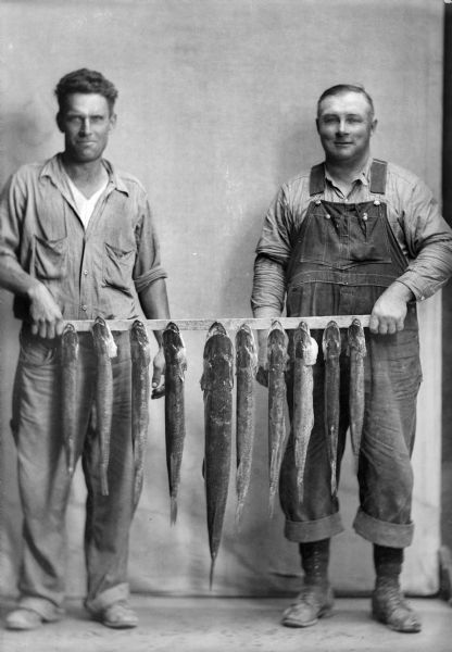 Two unidentified men pose with ten fish attached to a board in front of a canvas backdrop.