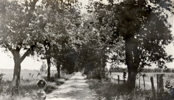 View of a tree lined dirt road from the passenger seat of a Ford Model T, including hood ornament.
