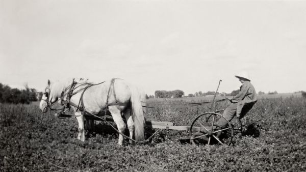 Young Ralph Quinney driving a horse-drawn hay-mower on his family's farm.