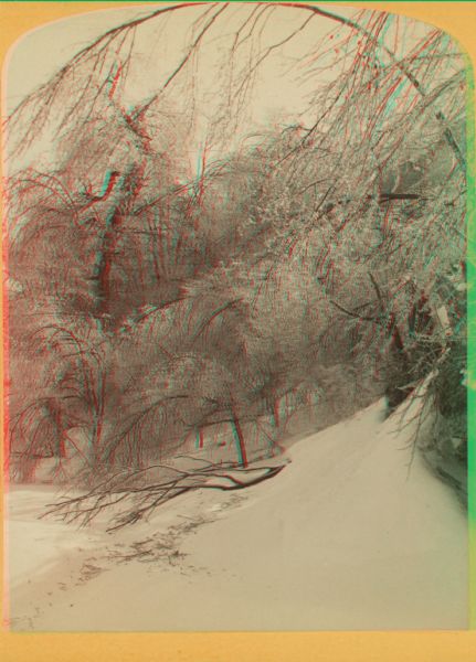 Stereograph of a winter view of a snowy landscape with ice-covered trees.