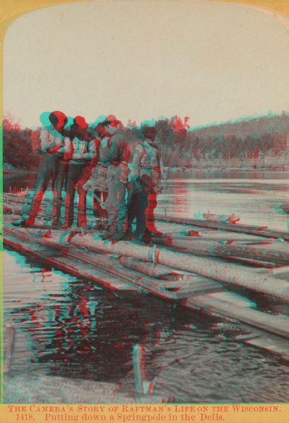 Stereograph of five men standing on a log while another man chops at the log with an axe.