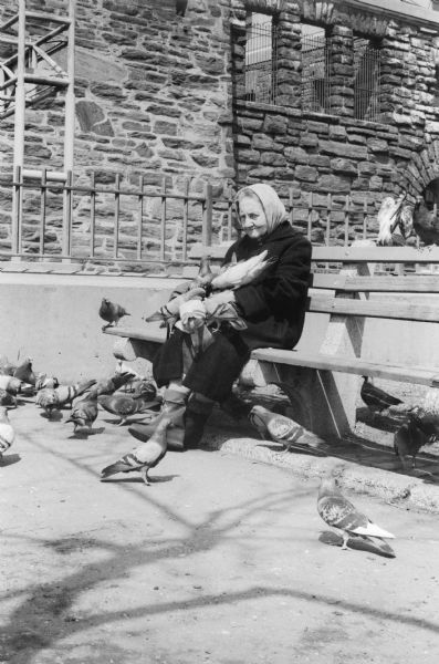 A woman sits surrounded by pigeons on a park bench in front of a stone building on FDR Drive.