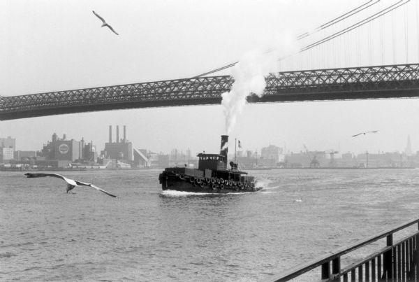 A tugboat passes under the Brooklyn Bridge.  Seagulls circle over the water and the developed shoreline is visible in the distance.