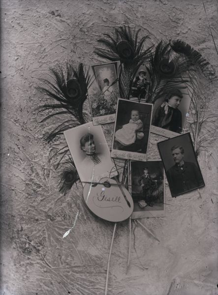 Composite layout of Gesell family portraits displayed with peacock feathers photographed in a studio.