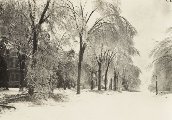 View of an ice covered street, trees and houses. Text on back of photograph reads: "Sleet storm of February 22nd & 23rd/22. Looking west from street intersection. Baraboo in front of Martha McFetridge's family home. The house on left is the Van Order house, now the Historical Society."