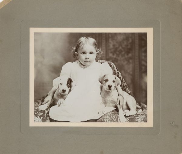 A studio portrait of a young child and two puppies posing sitting on a cloth covered chair in front of a painted backdrop. The child is sitting in the center and has both arms around each puppy. She is wearing a white dress and a bracelet.