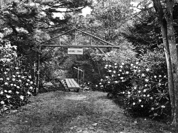 View of Lutherland Nature Trail entrance. View features a small wooden bridge beneath a wood archway with a sign that says "Nature Trail". The archway and the bridge are surrounded by trees and foliage.