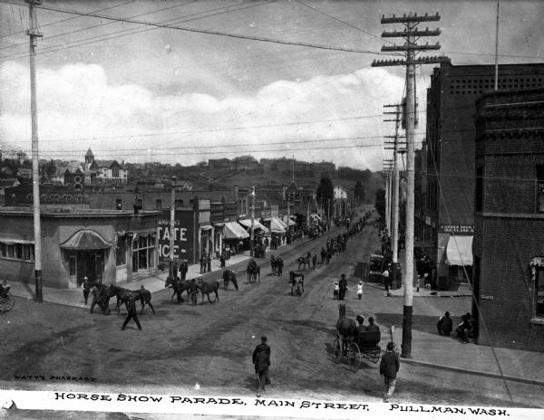 Horses are led down Main Street past buildings, horse-drawn vehicles, and spectators during the Horse Show Parade.