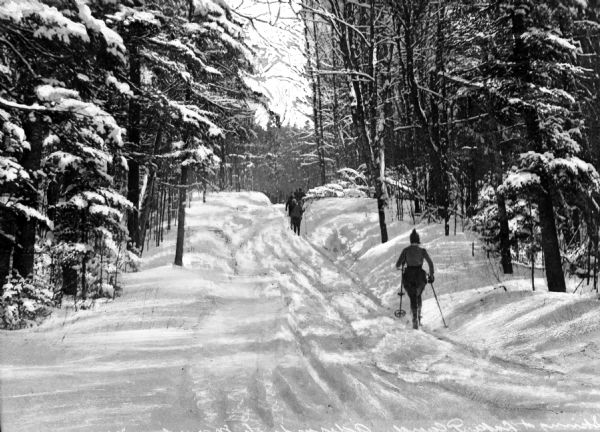 View of cross country skiers. View features skiers on a wooded snow-covered path. The path has trees on both sides.