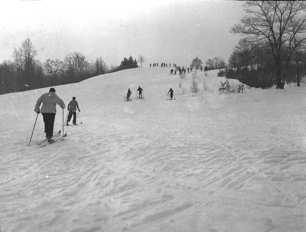 Skiers move down a snow-covered slope with trees lining either side.