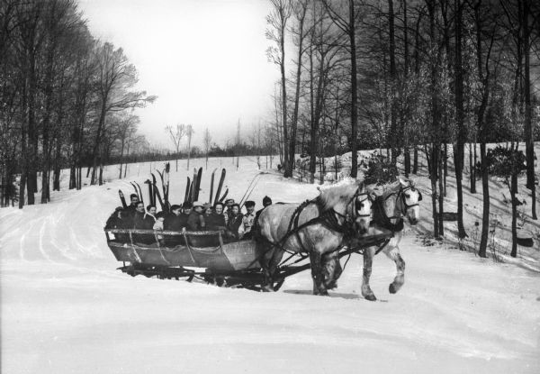 People with ski equipment are pulled through a clearing surrounded by trees in a horse-drawn sleigh.