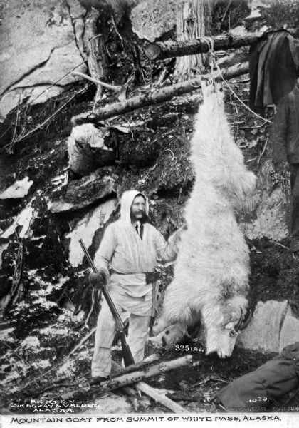 A hunter poses with a dead mountain goat hanging from a tree on a hillside.
