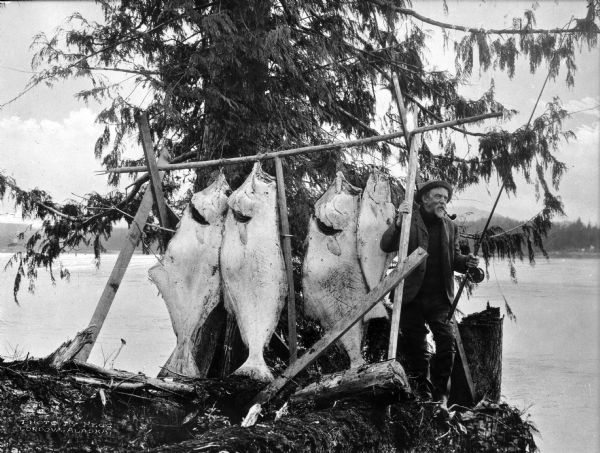 A fishermen smoking a pipe poses with fish strung from a wooden pole beneath an evergreen tree.
