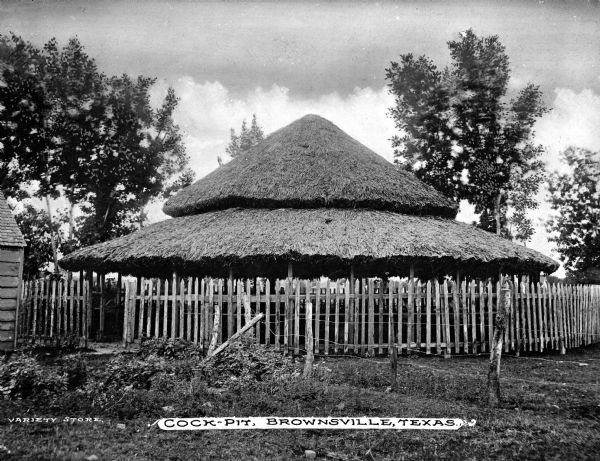 View of a thatched roof cock pit located in a fenced-in area and surrounded by trees.  Published by Variety Store.