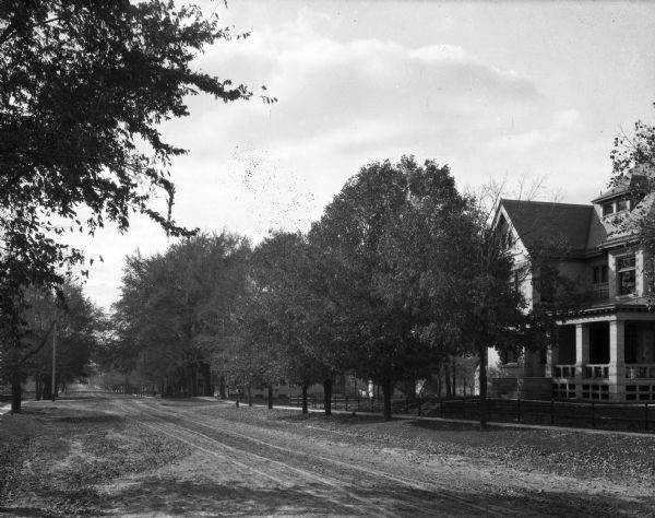 View of dwellings and trees along one side of a dirt road.