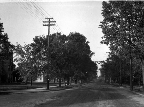 View down a dirt road lined with trees and power lines.  Several dwellings stand at left.