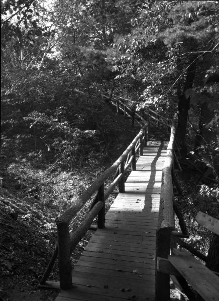 View of a rustic wooden bridge running through a forested area.  The bridge features a walkway with railings on both sides.