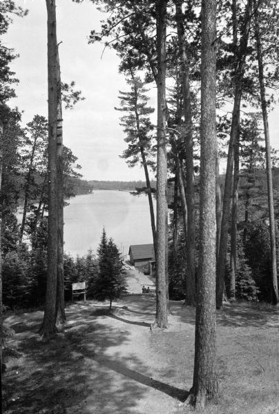 View through a wooded area toward the lake in Itasca State Park.  A cabin stands near the shoreline.