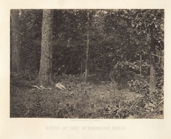 A clearing in some trees with an animal skull where Union General McPherson died.<br>Plate 35</br>