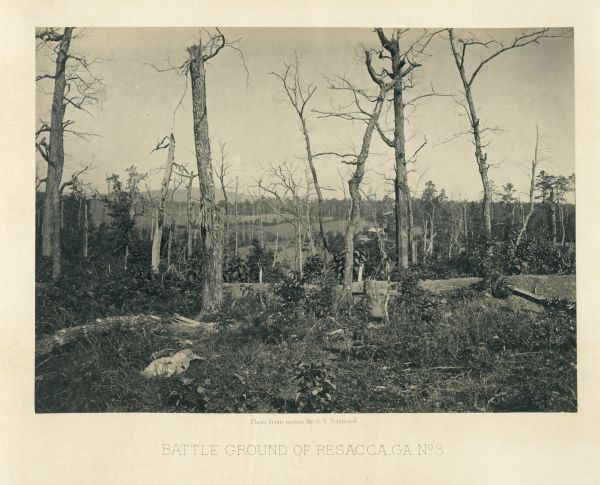 Barren and battered trees on the Resacca battlefield. There is a house in a valley in the distance.<br>Plate 21</br>