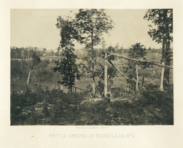 Broken trees in front of a field with a fence. There is a small building on a hill in the background.<br>Plate 20</br>