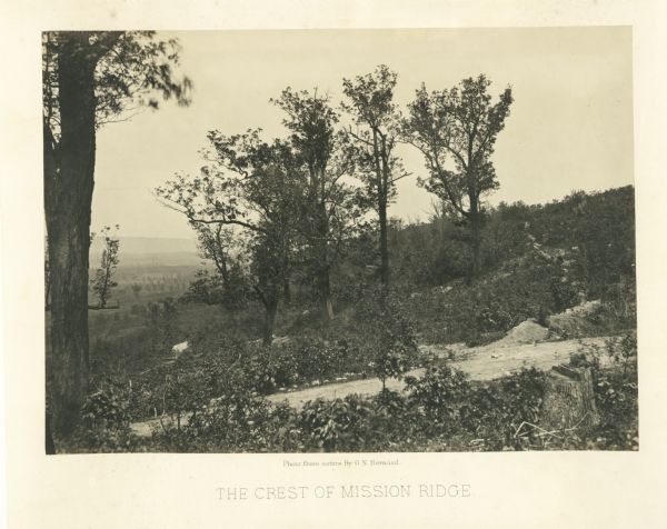 A road runs up the side of Mission Ridge with several trees. Trees and shrubs are in the foreground, overlooking a valley. Mountains are in the distance.<br>Plate 11</br>