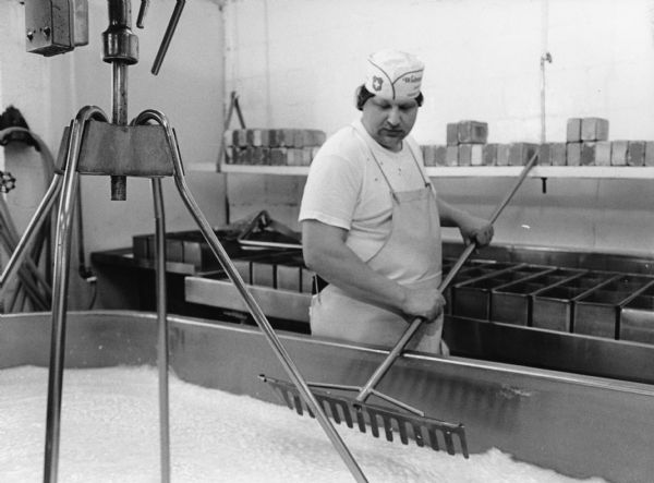 The milk, after cutting, has been transformed into curds and whey. The curds are comprised of the solids in the milk and the remaining whey is the liquid portion of the milk. As the curds and whey are stirred, they are cooked slowly for about 30 minutes. A man stands on the side of the tank holding a rake.