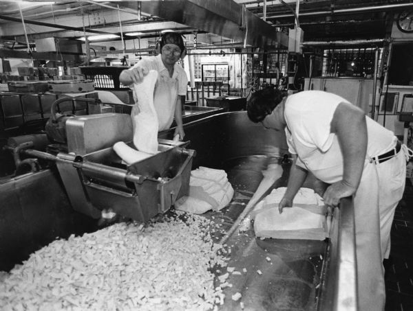 The slabs of cheese are put through a curd mill, which makes the popular Cheddar Cheese Curds.