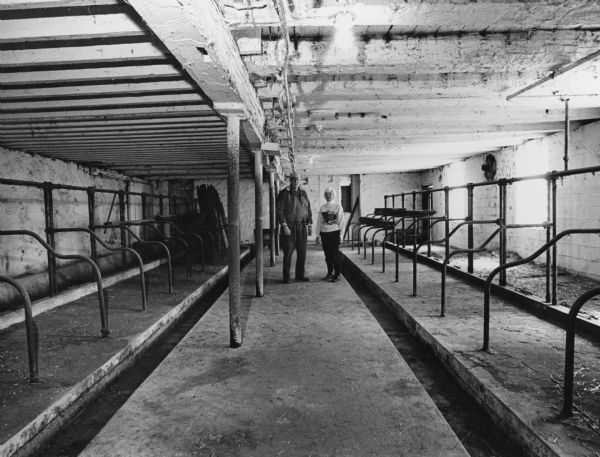 Paul and Evangeline Koll have 27 stanchions in their barn. They ceased milking cows May 26, 1988.