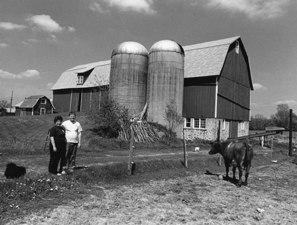 The Wendling barn was built in 1929 for $10,000. In 1991, cows were milked for the last time.